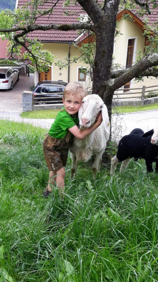 Ferienwohnungen Simonbauer Trebesing Buitenkant foto